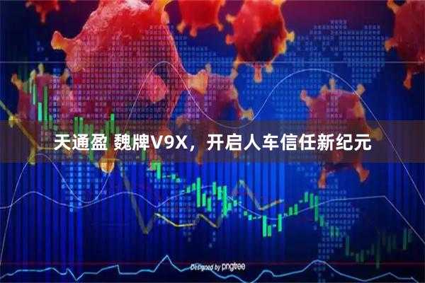天通盈 魏牌V9X，开启人车信任新纪元
