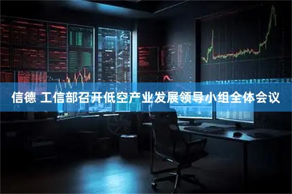 信德 工信部召开低空产业发展领导小组全体会议